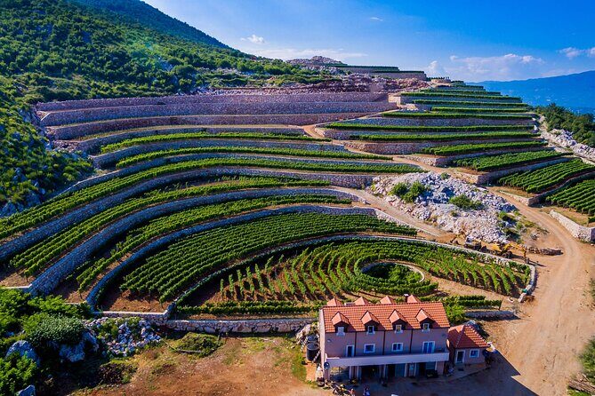 Private Wine Tasting Activity at Lipovac Winery - Experience the Charm of Montenegro’s Lipovac Winery: A Private Tasting Journey