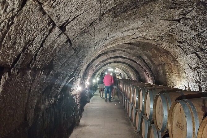 Private Wine Tasting And Visit Tour in Ribera Duero - Analyzing the Value