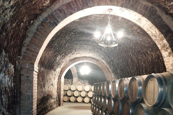 Private Wine Tasting And Visit Tour in Ribera Duero - Final Thoughts