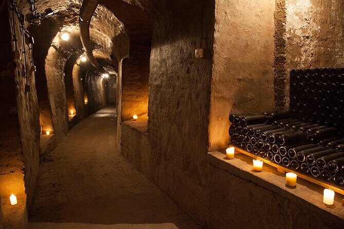 Private Wine Tasting by Party in Belgrade - Why You’ll Love the Private Wine Tasting in Belgrade