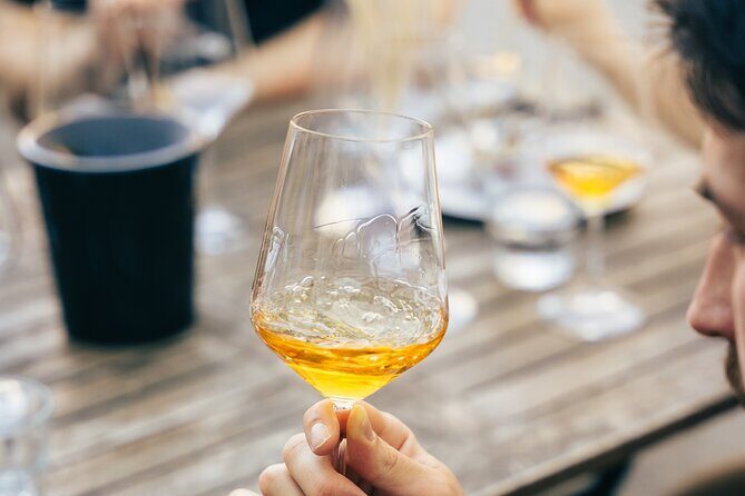 Private Wine Tasting Experience in Ljubljana - An In-Depth Look at the Experience