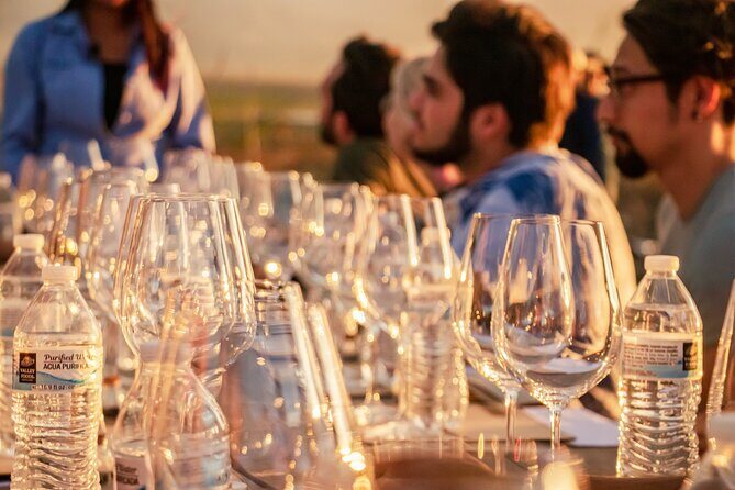 Private Wine Tasting Experience in Parras de la Fuente - Value and Practicalities