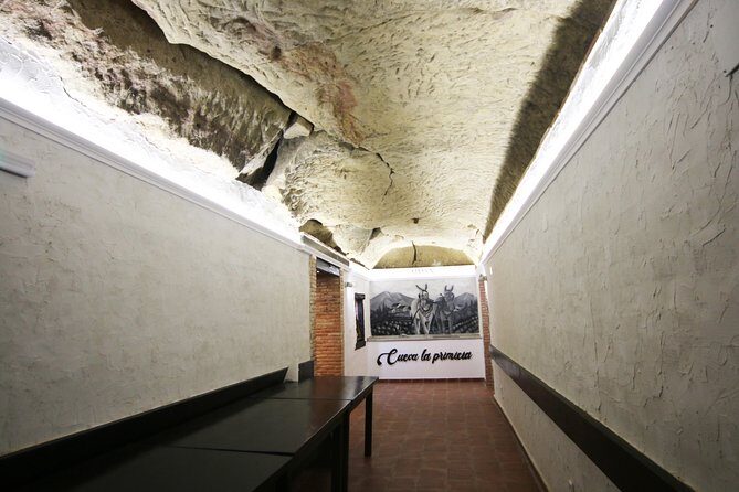 Private Wine Tasting in San Vicente de la Sonsierra - Why This Tour Works