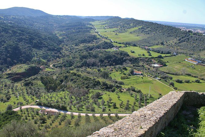 Private Wine Tasting in the Setúbal Wine Region, from Lisbon - An In-Depth Look at the Tour
