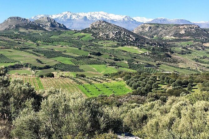 Private Wine Tasting & Lunch @ Lyrarakis Winery - Transfer Inclu - FAQ