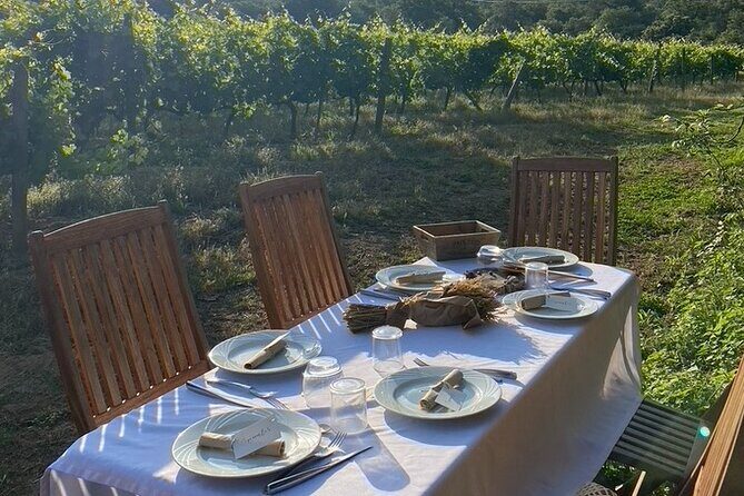 Private Wine Tasting Tour around Ile Rousse and Calvi - Overview of the Tour