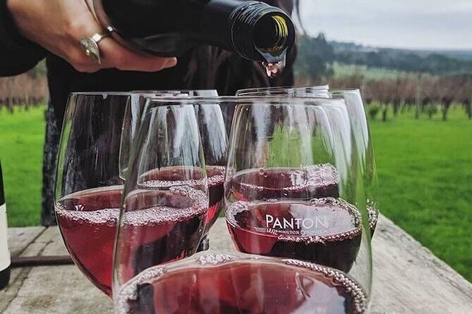 Private Wine Tasting Tour in Mornington Peninsula with Lunch - An In-Depth Look at the Itinerary