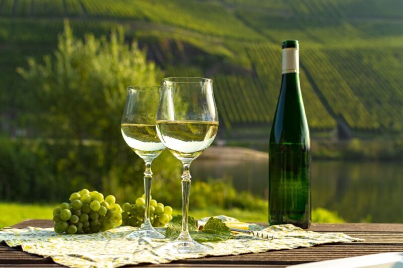 Private Wine Tasting Tour in Munich with a Wine Expert - Who Should Consider This Tour?