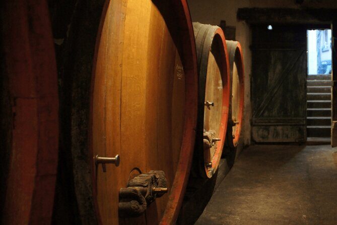 Private Wine Tasting Tour With Personal Driver in Alsace - A Deep Dive into the Experience