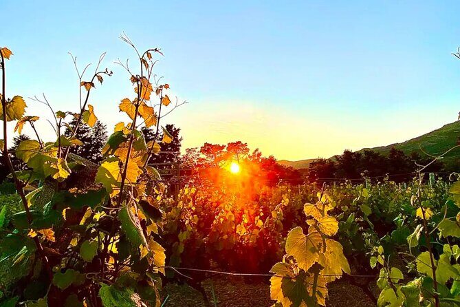 Private Wine Tasting Under The Stars With Sunset Panorama - A Deep Dive into the Experience