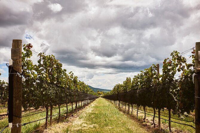 Private wine tasting & wine pairing tours - What to Expect from the Private Wine Tasting & Pairing Tour