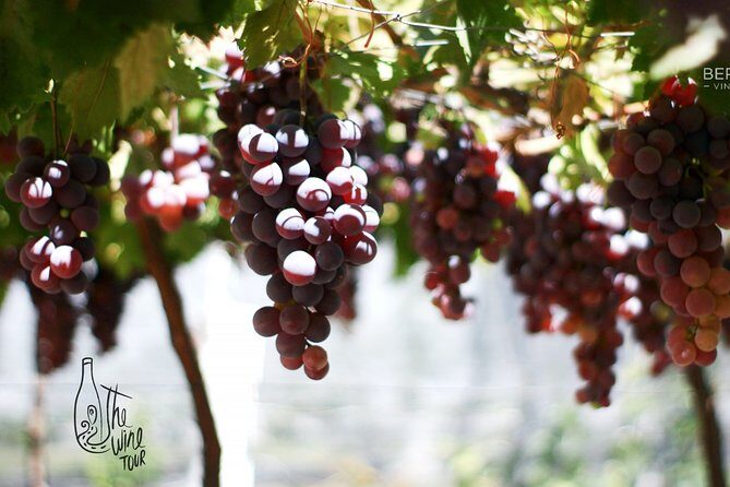 Private wine tasting & wine pairing tours - FAQs