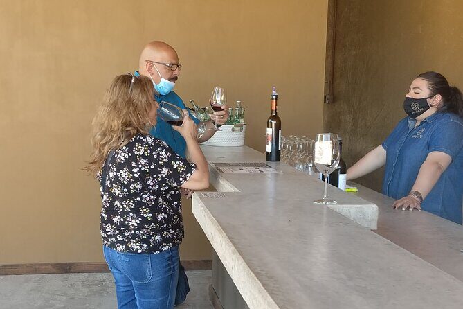 Private wine tour - The Wines, Food, and Atmosphere