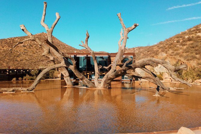 Private Wine Tour at Valle de Guadalupe (A wine tasting included). - What to Expect from the Valle de Guadalupe Private Wine Tour