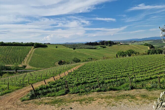 Private Wine Tour best of Chianti Tuscany 6 hours Limo Service - Key Points