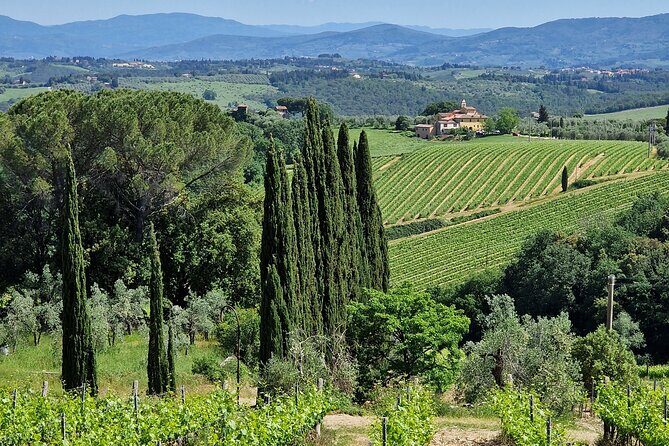 Private Wine Tour best of Chianti Tuscany 6 hours Limo Service - Who is This Tour Best Suited For?