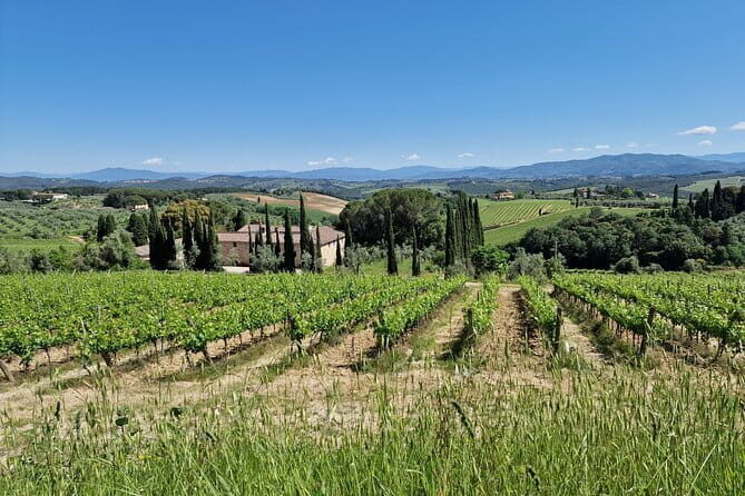 Private Wine Tour best of Chianti Tuscany 6 hours Limo Service - Key Points