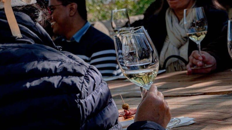 Private Wine Tour from Guanajuato City - Why Choose This Private Guanajuato Wine Tour?