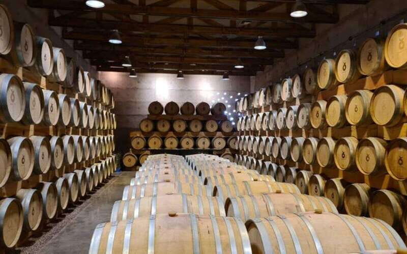 Private Wine Tour from Guanajuato City - The Sum Up