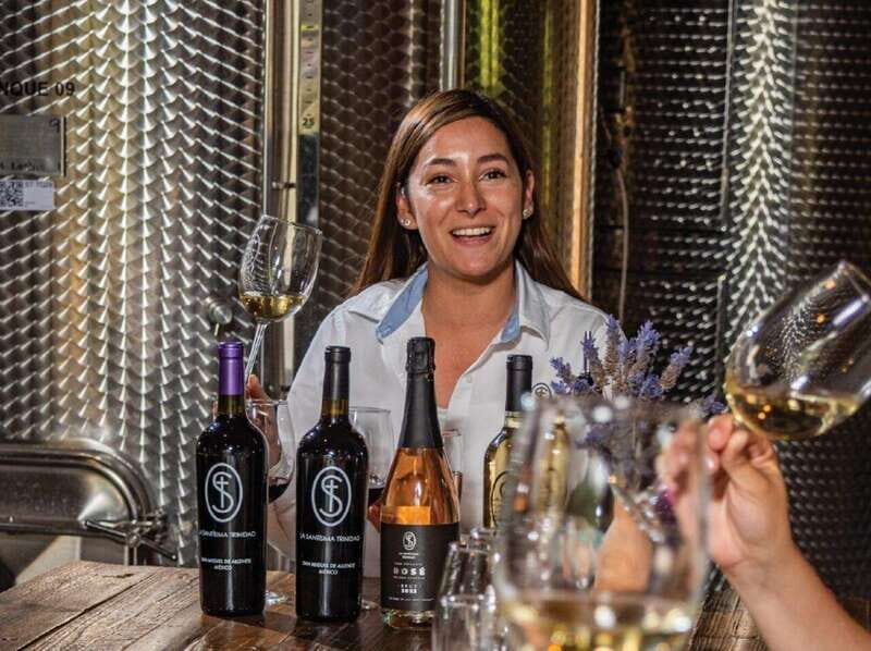 Private Wine Tour from Guanajuato City - FAQ