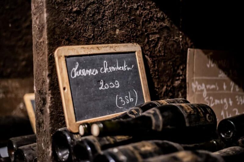 Private Wine Tour in Côte de Nuits and Côte de Beaune - Who Should Consider This Tour?