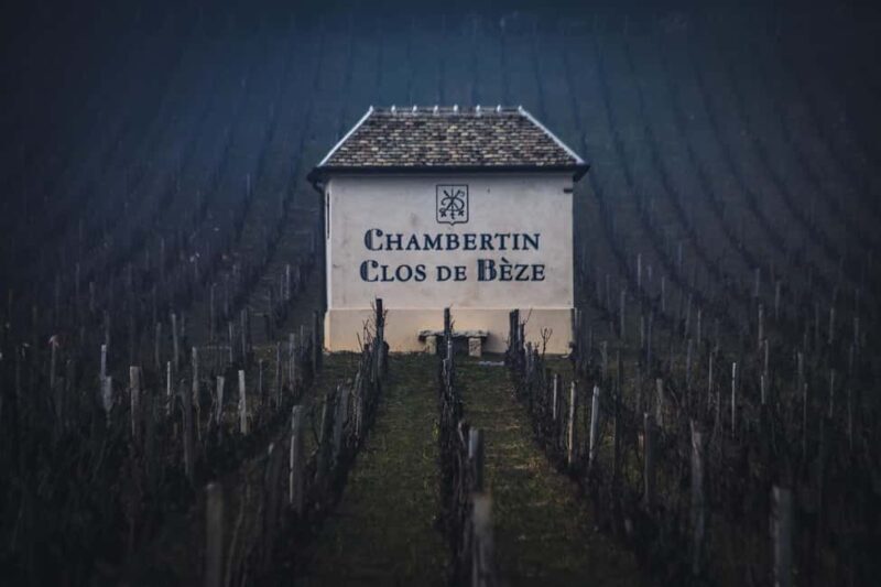 Private Wine Tour in Côte de Nuits and Côte de Beaune - Frequently Asked Questions