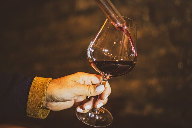 Private wine tour in Côte de Nuits and Côte de Beaune - The Itinerary in Detail