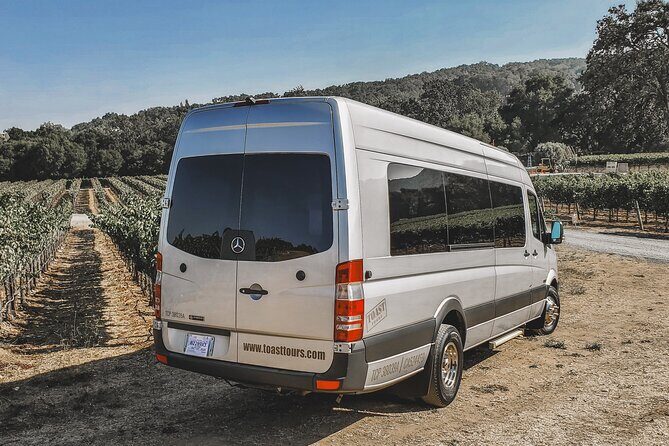 Private Wine Tour in Santa Barbara Wine Country - Who Is This Tour Best For?