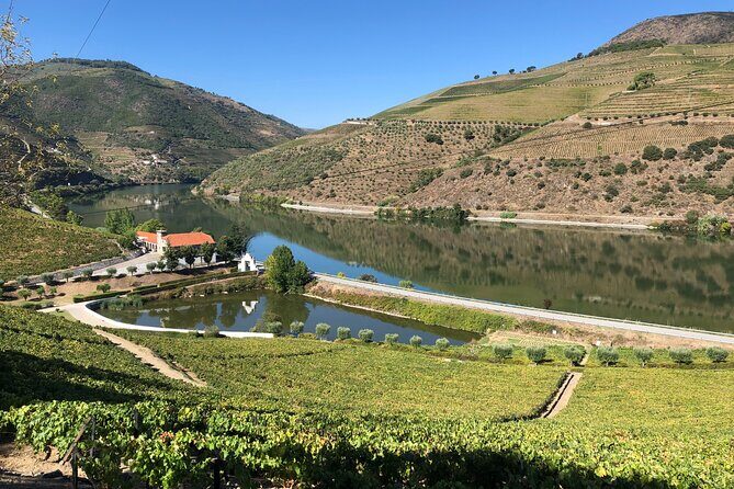 Private Wine Tour in the Douro Valley - Private wine tastings and lunch included - Final Thoughts