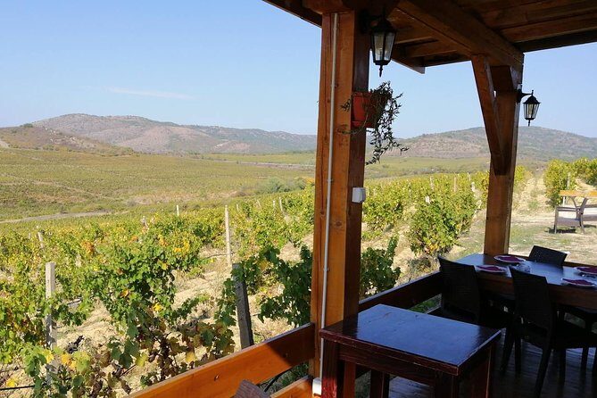 Private Wine Tour of Chateau Sopot Winery from Skopje - What Makes This Tour Stand Out?