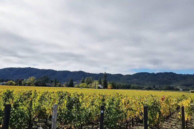 Private Wine Tour of Napa Valley - A Deep Dive into the Experience