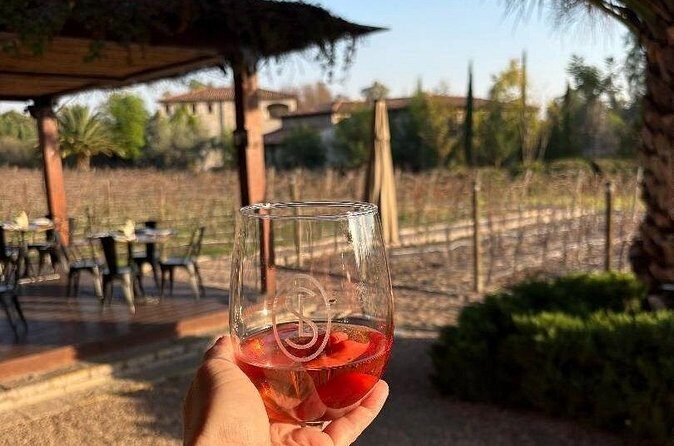 Private Wine Tour of San Miguel de Allende Tastings and Lunch - Who This Tour Is Best For