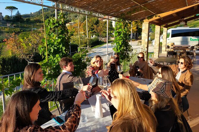 Private wine tour on the magical hills of Lucca (2 wineries) - Private Wine Tour on the Magical Hills of Lucca: An In-Depth Review