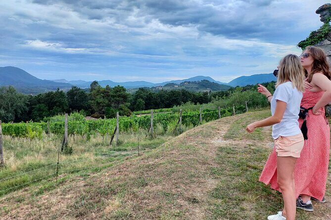 Private wine tour on the magical hills of Lucca (2 wineries) - Analyzing the Value