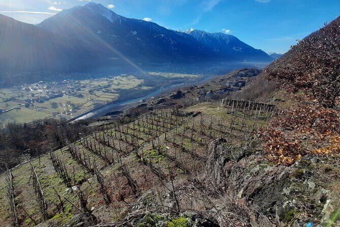 Private Wine Tour: Terraced Vineyards with Alpine view from Milan - The Considerations