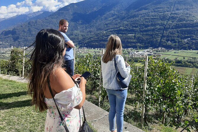 Private Wine Tour: Terraced Vineyards with Alpine view from Milan - Who Would This Tour Suit Best?