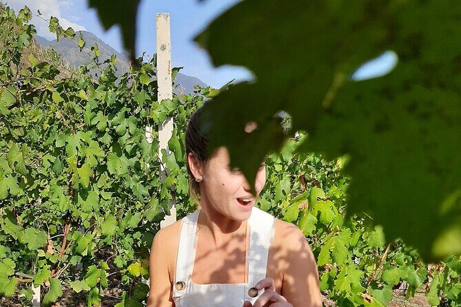 Private Wine Tour: Terraced Vineyards with Alpine view from Milan - The Sum Up
