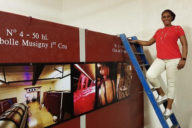Private Wine Tour to Burgundy Region from Paris - What to Expect: Practical Details & Tips