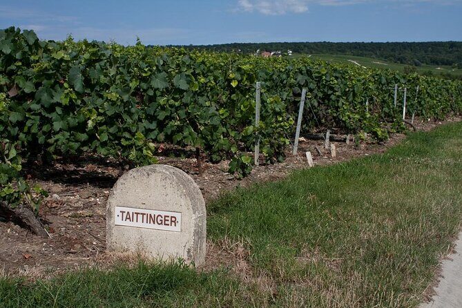 Private wine tour to Champagne region from Paris - An In-Depth Look at the Champagne Private Tour from Paris