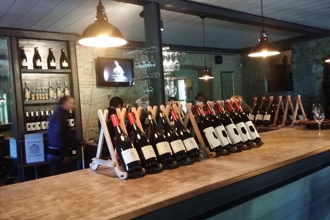 Private Wine Tour to Kakheti from Tbilisi - Exploring Georgia’s Wine Heritage: A Comprehensive Review of the Private Kakheti Tour from Tbilisi