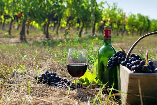 Private wine tour to Khor Virap, Areni winery, Noravank - A Deep Dive into the Armenia Private Heritage and Wine Tour