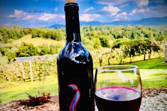 Private Wine Tour with Dine in Black Mountain from Asheville - The Itinerary: A Detailed Breakdown