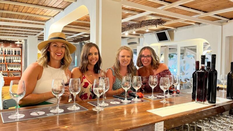 Private wine tour with sunset and pictures - Exploring a Santorini Private Wine Tour with Sunset and Pictures: An In-Depth Review