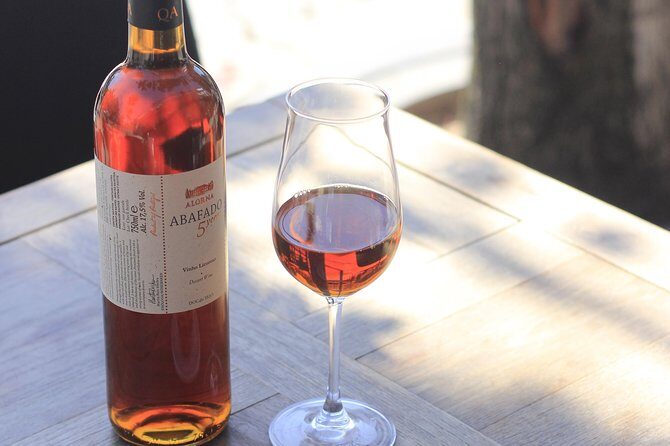 Private Wine Tour Xperience - The Experience in Action: What Travelers Can Expect