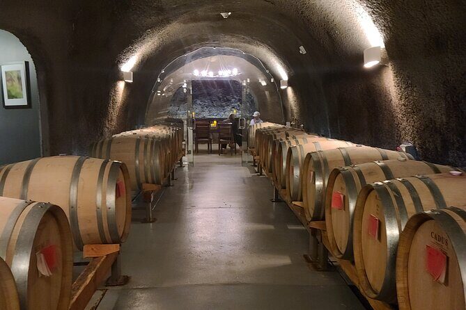Private Wine Tours - Who Would Enjoy This Tour?