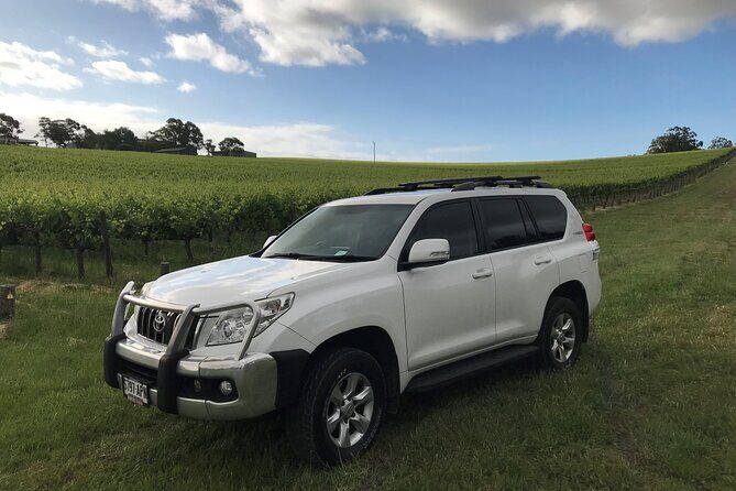 Private Wine Tours McLaren Vale or Adelaide Hills - Who Would Love This Experience?