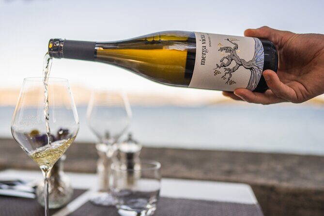 Private Winemaking of the Island of Korula - An In-Depth Look at the Korcula Winemaking Tour