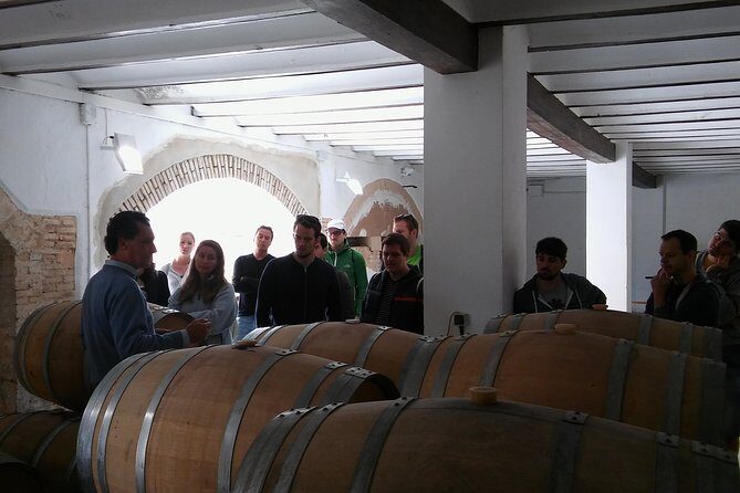 Private Wineries Tour from Valencia (morning tour) - Key Points