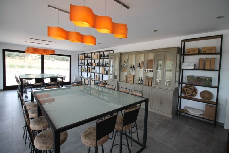 Private Winery Tour and Visit to Ronda - Final Thoughts