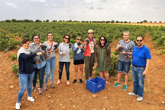 Private Winery Tour near Madrid with Sommelier (6-hour) - Inside the Itinerary: What to Expect from Start to Finish